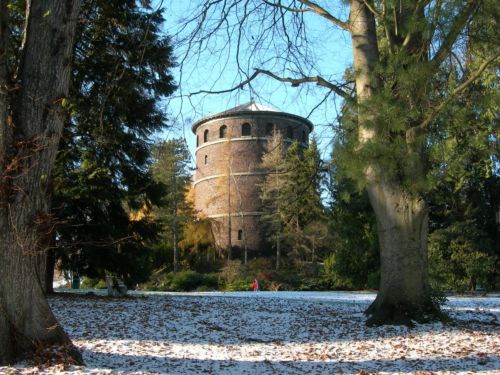 Volunteer_park_tower.JPG