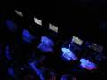 ESWC 2008